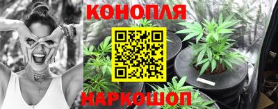 ПСИЛОЦИБИНОВЫЕ ГРИБЫ Будённовск