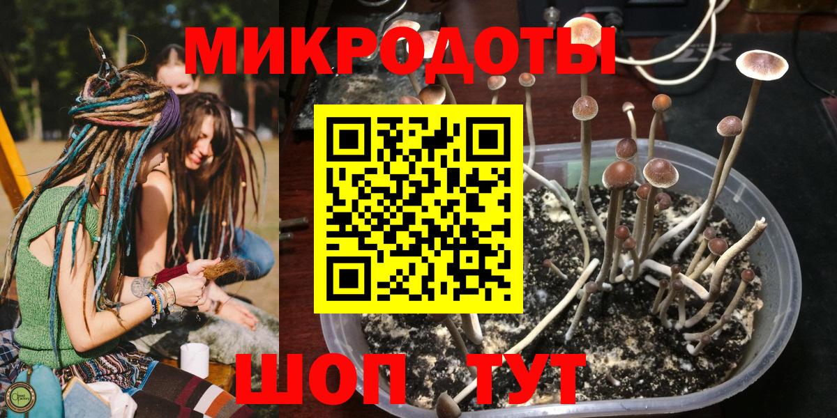 Галлюциногенные грибы мицелий  Галлюциногенные грибы MAGIC MUSHROOMS  Вход с VPN  Щёкино 